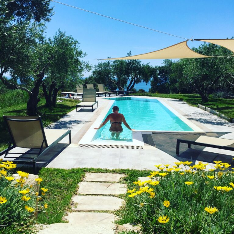 Swimming pool set between olive trees