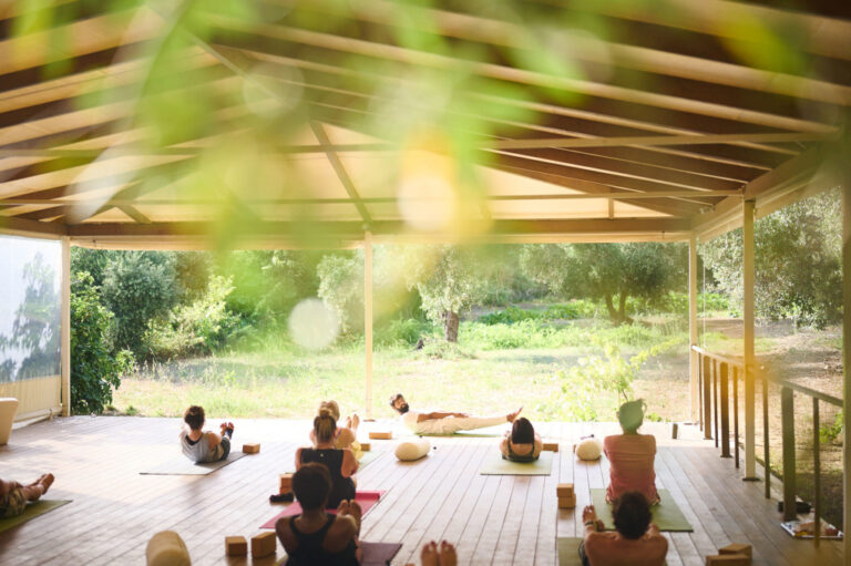 Sunlit covered yoga deck surrounded by trees
